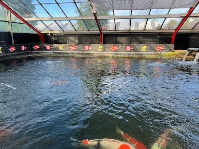 Afbeelding van Arts&Ants