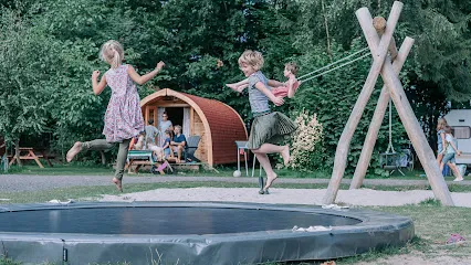 Afbeelding van Camping Zwinderen