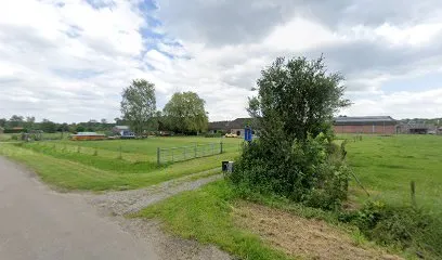 Afbeelding van Maki Pools