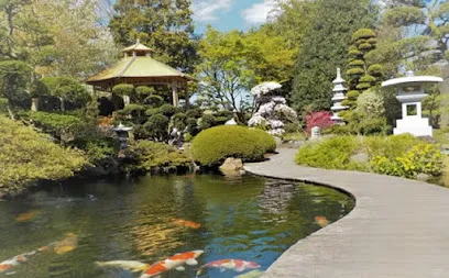 Afbeelding van Zen Koi