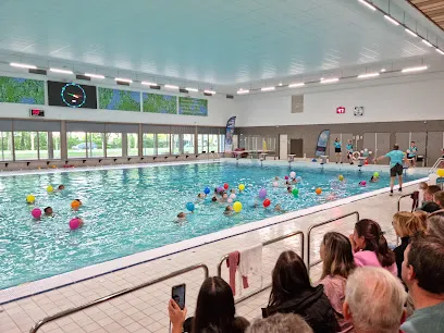 Afbeelding van Zwembad De Banakker