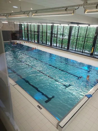 Afbeelding van Zwembad De Nachtegaal