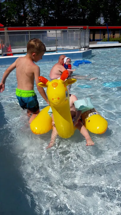 Afbeelding van Zwembad 't Vlasmeer Onstwedde